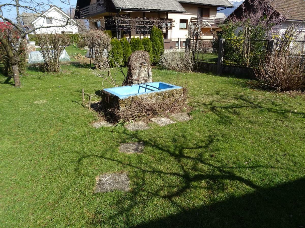 Apartment Tjasa Radovljica Ngoại thất bức ảnh